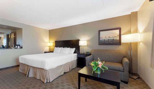 Standard Room, 1 Queen Bed, Accessible, Non Smoking