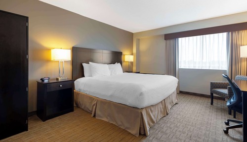 Standard Room, 1 King Bed, Non Smoking