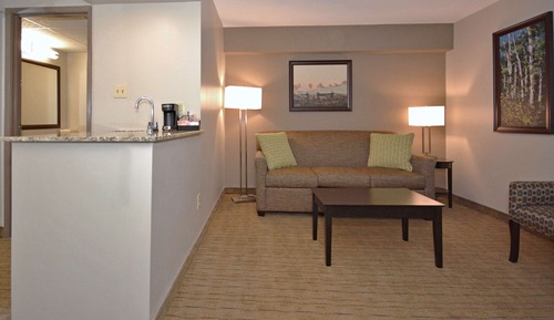 Suite, 1 Queen Bed, Non Smoking