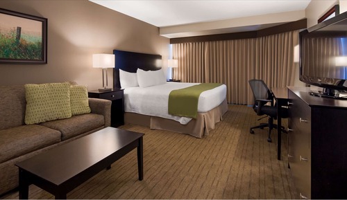 Standard Room, 1 King Bed, Non Smoking, Pool View