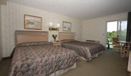 Standard Room, 2 Double Beds