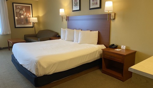 Room, 1 King Bed, Non Smoking