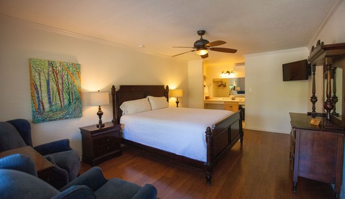 Accessible Room (One King Bed)