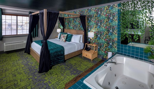 Rainforest Suite