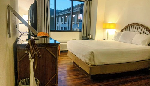 Standard Single Room, 1 Queen Bed, Accessible