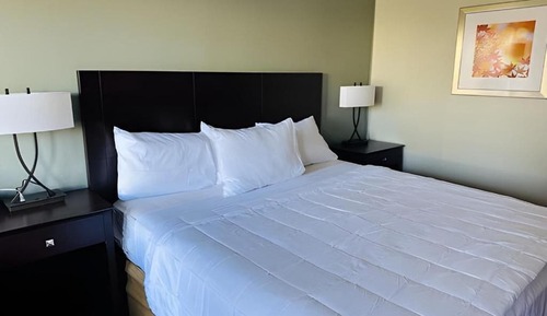Single Room, 1 Queen Bed, Non Smoking