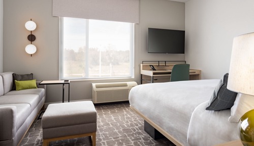 Standard Studio, 1 King Bed with Sofa bed (Hearing Accessible)