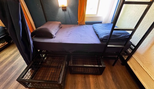 Basic Shared Dormitory (Female only)