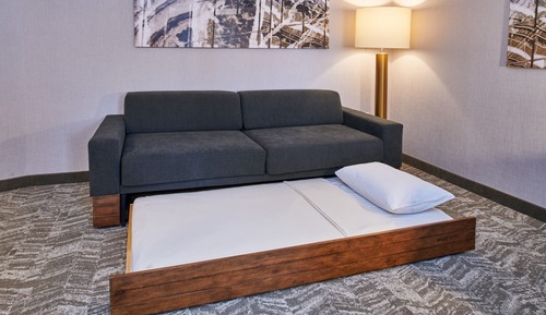 Suite, 1 King Bed