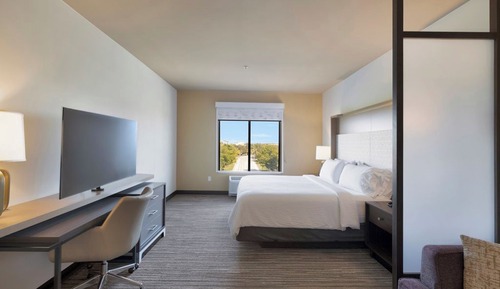 Suite, 1 King Bed