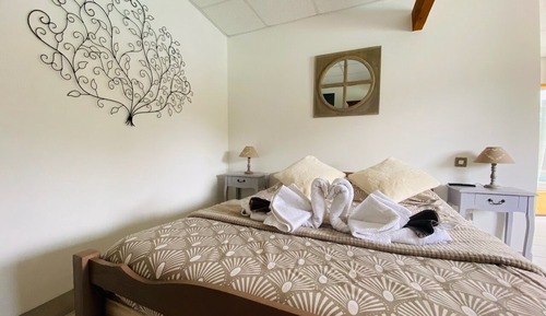 Comfort Quadruple Room