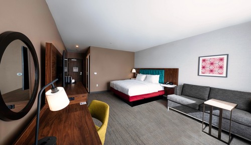 Room, 1 King Bed with Sofa bed, Refrigerator & Microwave