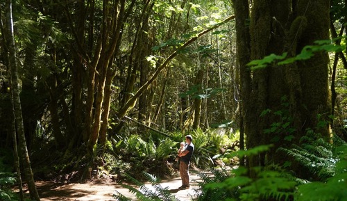 Tent, 3 Twin Beds, Shared Bathroom