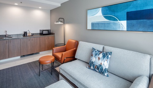 Suite, 1 King Bed with Sofa bed, Mobility Accessible (Transfer Shower)