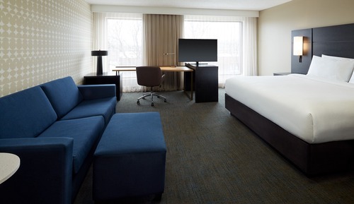 Studio, 1 King Bed with Sofa bed