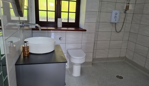 Apartment, 1 Bedroom (Dolly)