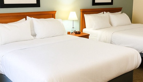 Basic Double Room