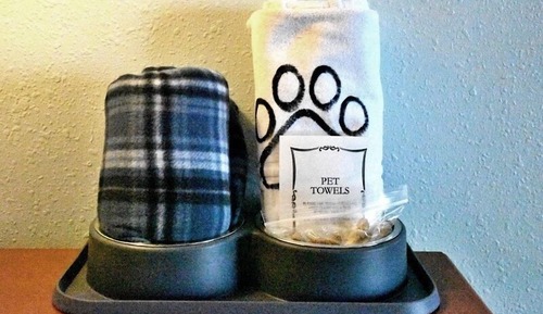 Family Condo, 1 Bedroom, Ocean View, Oceanfront (Pet-Friendly)