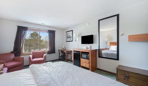 Basic Single Room