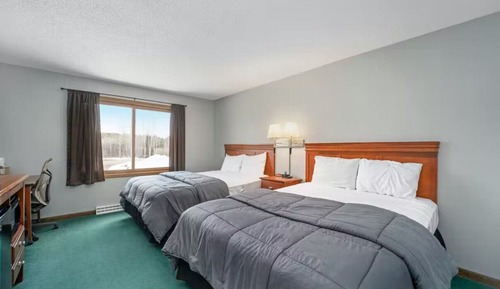 Basic Double Room