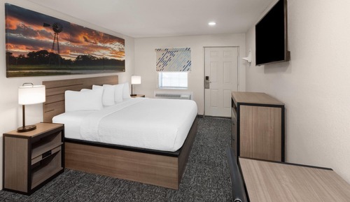 Room, 1 King Bed, Mobility Accessible, Non Smoking (Mobility, Roll-in Shower)