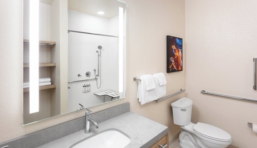 Room, 1 Bedroom, Roll-in Shower (Mobility Accessible)