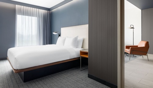 Suite, 1 King Bed with Sofa bed