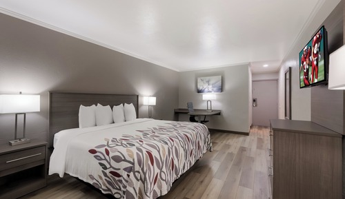 Deluxe Room, 1 King Bed, Smoking