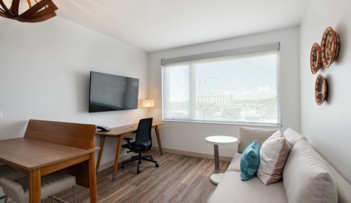 Suite, 1 King Bed with Sofa bed