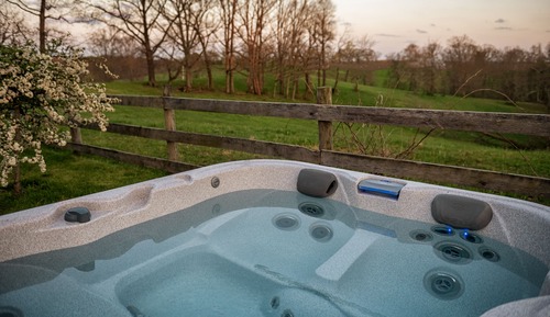 Luxury Cabin, 1 King Bed, Private Pool