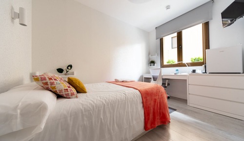Junior Single Room