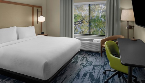 Room, 1 King Bed