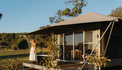 CABN CANVS Seppeltsfield