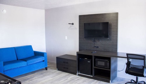 Standard Suite, 1 King Bed with Sofa bed