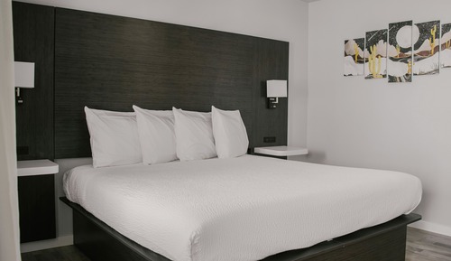 Room, 1 King Bed, Non Smoking, Refrigerator & Microwave