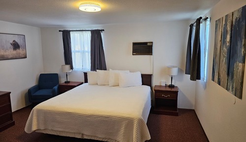 Suite, 1 King Bed with Sofa bed