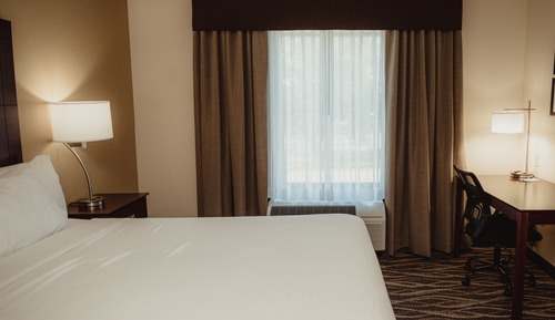 Room, 1 King Bed, Non Smoking
