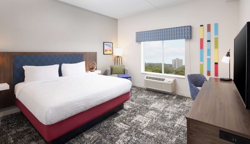 Room, 1 King Bed, Accessible (Roll-In Shower)