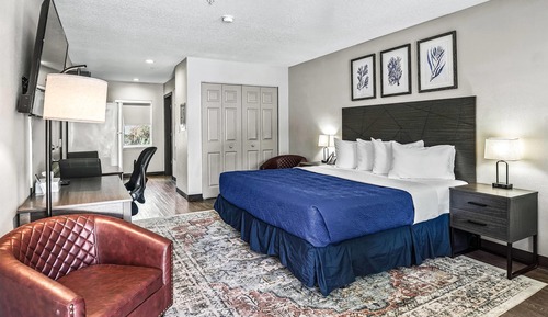 Standard Suite, 1 King Bed, Mobility Accessible, Non Smoking (Roll-In Shower)