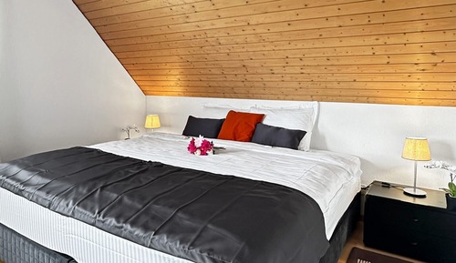 Comfort Suite