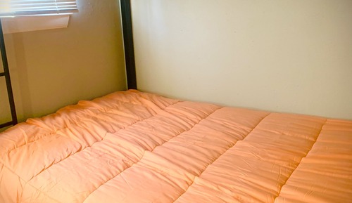 Basic Shared Dormitory, Mixed Dorm