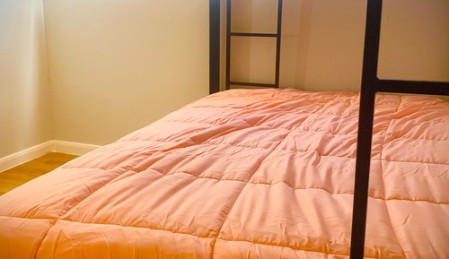 Classic Shared Dormitory, Mixed Dorm