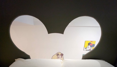 Mickey Themed Loft Apartment