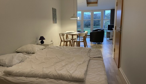 Basic Apartment