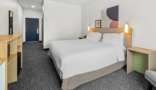 Room, 1 King Bed, Accessible (Mobility & Hearing, Roll-in Shower)