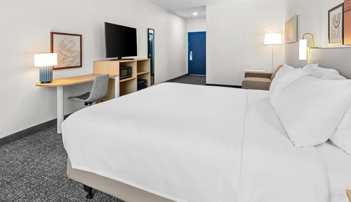 Room, 1 King Bed with Sofa bed