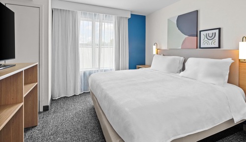 Suite, 1 King Bed with Sofa bed