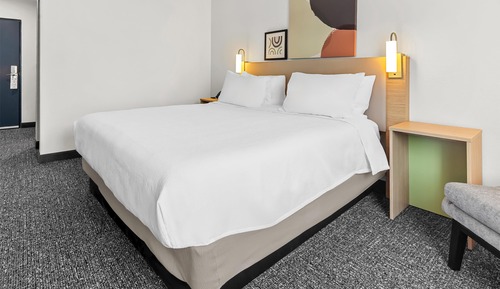 Room, 1 King Bed