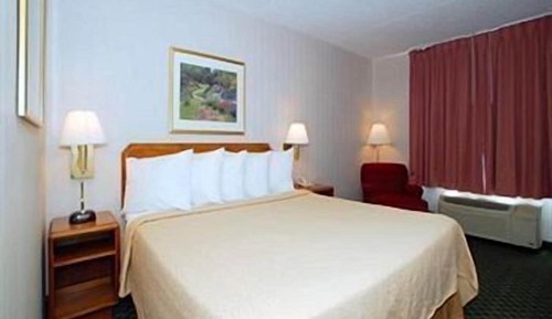 Single Queen Room