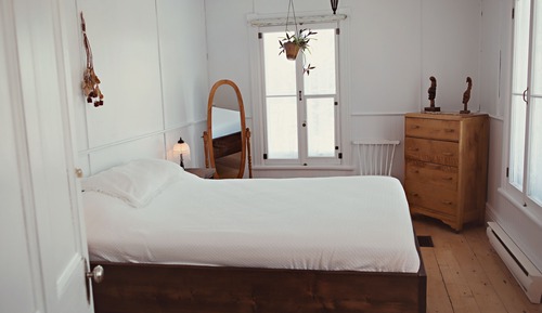 Deluxe Room, 1 Queen Bed (Cats on premises)